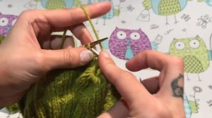 Кофточка для собаки  Реглан