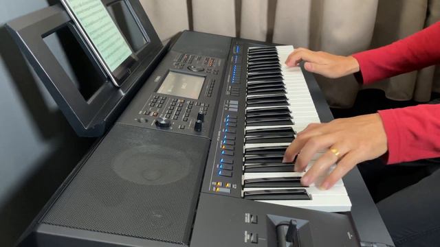 Besame Mucho - Latin Instrumental - Yamaha PSR-SX900 смотреть онлайн