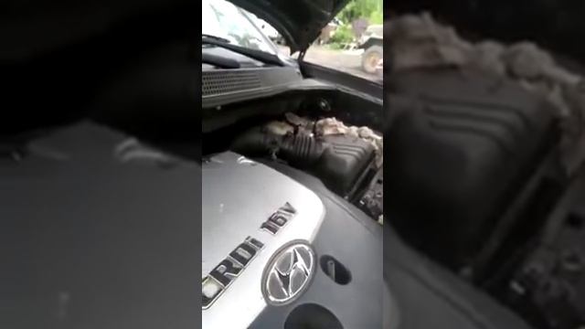 Отзыв клиента о компании Карвет. ДВС D4EA на автомобиль Hyundai Tucson смотреть онлайн