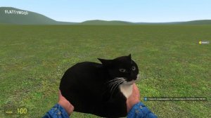 Обзор на мод Maxwell Cat в Garry s mod (ссылка на мод кометарриях).