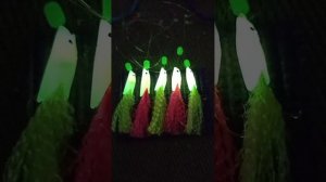 Светящиеся приманки для рыб.