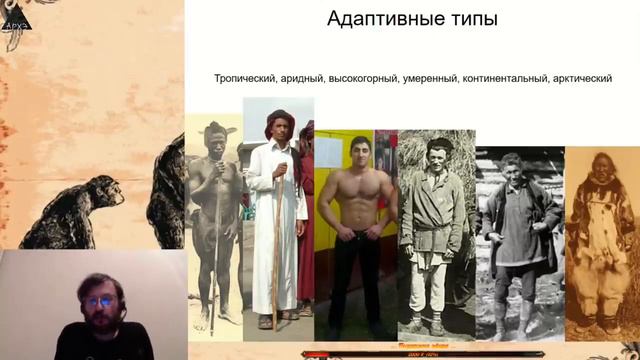Адаптации в эволюции человека.
