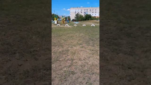 Димитрово смотреть онлайн