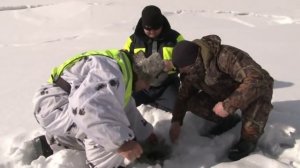 Джойский залив. Весение лунки