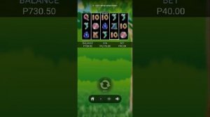 Bingo plus slot game enchanted garden tips how to win free spin