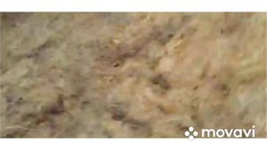 Два Мерседеса  МЛ w163 offroad 33я резина