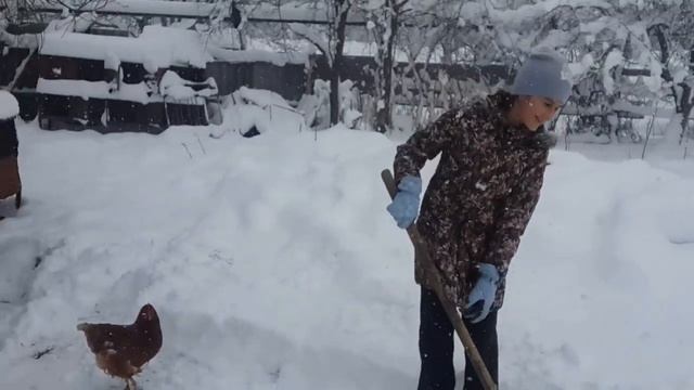 Как приготовить жареное мясо /Много снега в Адыгеи смотреть онлайн