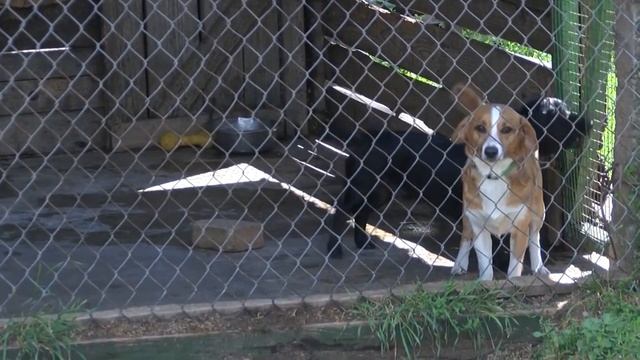 Волонтерство смотреть онлайн