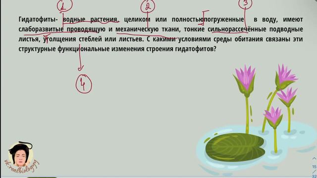 Практика по генеративным органам растений
