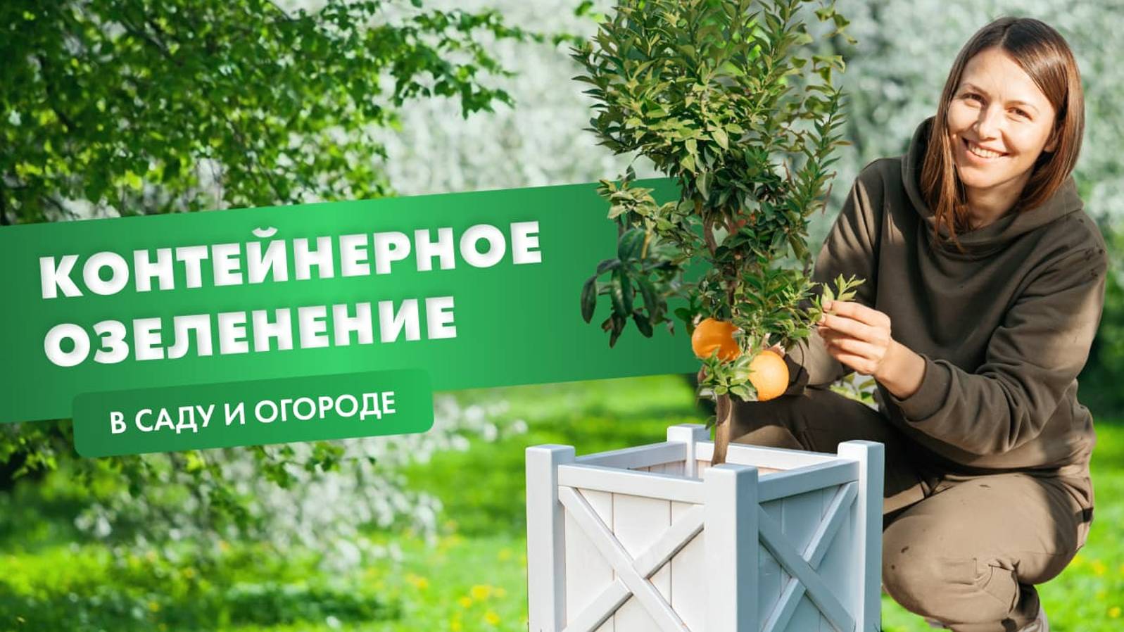 Контейнерное озеленение в саду и огороде