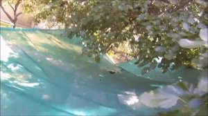 Дачные дела, устройство для сбора шелковицы, монтаж ручной колонки водоснабжения