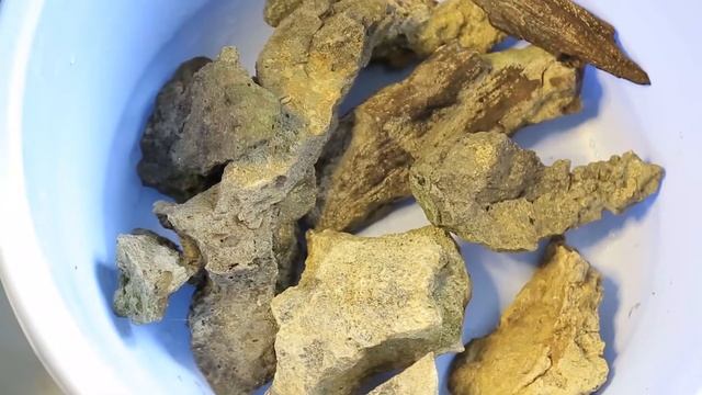 Выбираю камни и древесину для декора аквариума смотреть онлайн