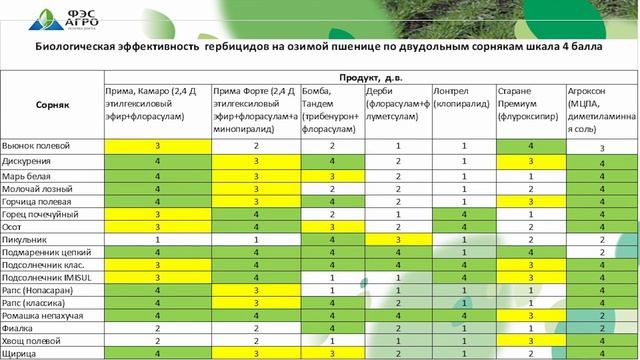 Защита озимой пшеницы - выход в трубку.  Часть 1