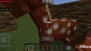 Гайд: Как приручить лошадь и ездить на ней В Minecraft?