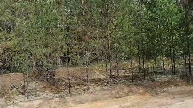 155 беседа Суть покаяния смотреть онлайн