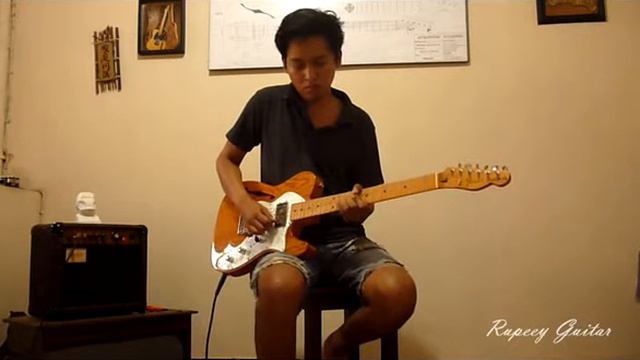 Rupeey Guitar | Telecaster Thinline '72 review смотреть онлайн