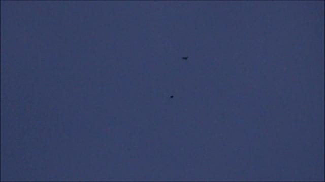 Ночной полёт голубей смотреть онлайн