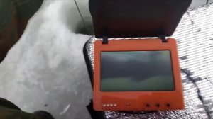 болото окуньки