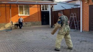 НЕМЕЦКАЯ ОВЧАРКА ЗАЩИЩАЕТ ДВОР И ХОЗЯИНА / ДРЕССИРОВКА ПО ЗКС, ПОСТАНОВКА НА РУКАВ / ЩЕНОК 7 МЕС