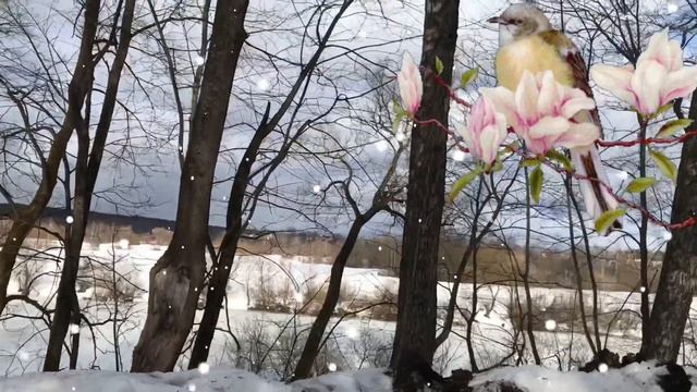 1 марта День Ярила. Традиции, обычаи, что можно и что нельзя делать в первый день весны. календарь