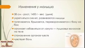 30 неделя беременности: изменения, рекомендации, особенности