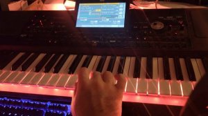 Leylim Ley Ibrahim Tatlises -KORG PA1000   2024