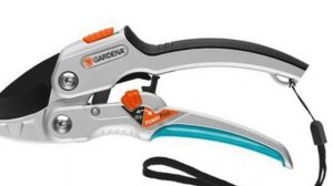 Как выбрать секатор. Особенности, виды и применение.