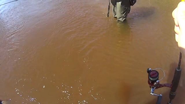 Вечерняя ловля головля Малая река Теша смотреть онлайн