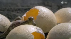 Доистарическое планета? 2023 – Трейлер