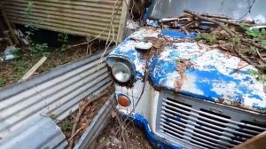 WRECKING YARD CLOSED SINCE 1995 , ABANDONED CLASSIC CARS EVERYWHERE IN A JUNGLE LIKE YARD.