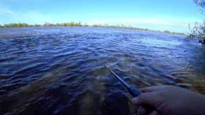 Рыбалка на Оке дала ЖАРУ! С берега на спиннинг в поисках трофея!