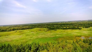 Пробные полёты на дроне