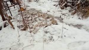 Ленивая КОЗА, простейшие козлы для распиловки!