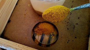 Весенняя подкормка пыльцой.