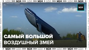 Самый большой воздушный змей России – Москва 24