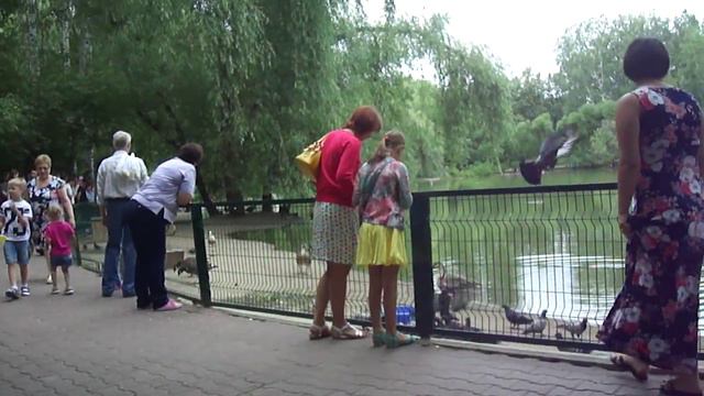 Пруд в Новосибирском зоопарке смотреть онлайн