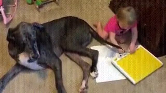 Когда дома нет кисточки ? смотреть онлайн