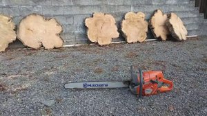 Осиновые слэбы, заготовка