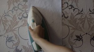 Кошка поцарапала обои, что делать? Реставрация. Как восстановить обои после кота.