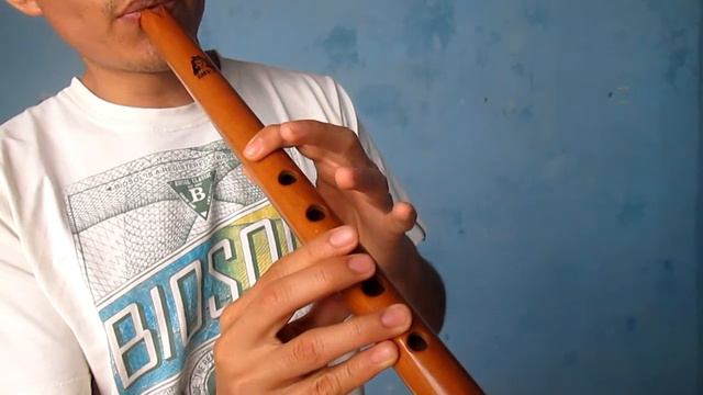 Huayno del Condor pasa - lento смотреть онлайн