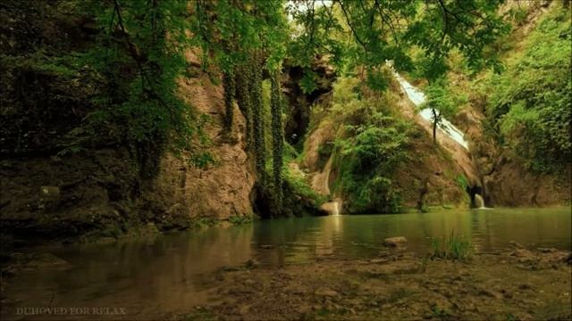 Шум Воды Водопада, Успокаивающие Звуки Природы Джунглей, Пение Птиц, Релакс, Медитация смотреть онлайн