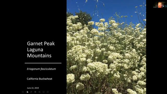 Mission Hills Garden Club, May 28, 2020, Jim Bishop смотреть онлайн