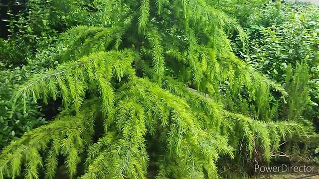 Ялта-23. 1 серия .mp4 смотреть онлайн