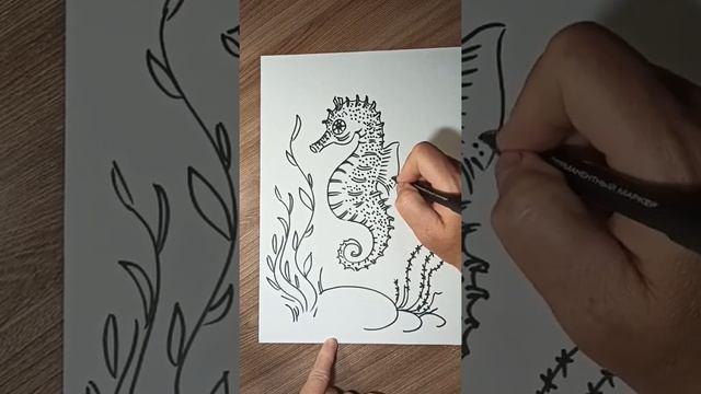Морской конек - скетч черным маркером. смотреть онлайн