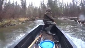 Сибирь.Таежная река .лодка ПНД 8метров.