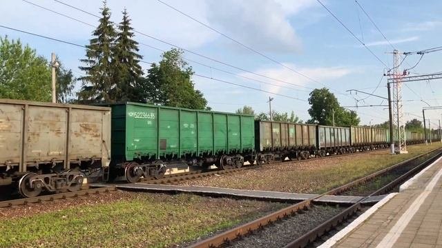 Много поездов. Железнодорожный транспорт.