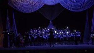 Сергей Плешак, Финал мюзикла "Маленький принц"