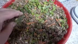 Кормление кур летом...влажная мешанка: состав и норма...