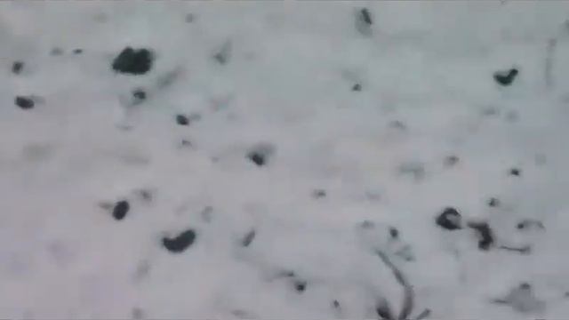Ракетное топливо на БЕРТОЛЕТОВОЙ СОЛИ и ГЕКСАЦИАНОФЕРРАТЕ