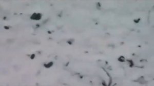 Ракетное топливо на БЕРТОЛЕТОВОЙ СОЛИ и ГЕКСАЦИАНОФЕРРАТЕ